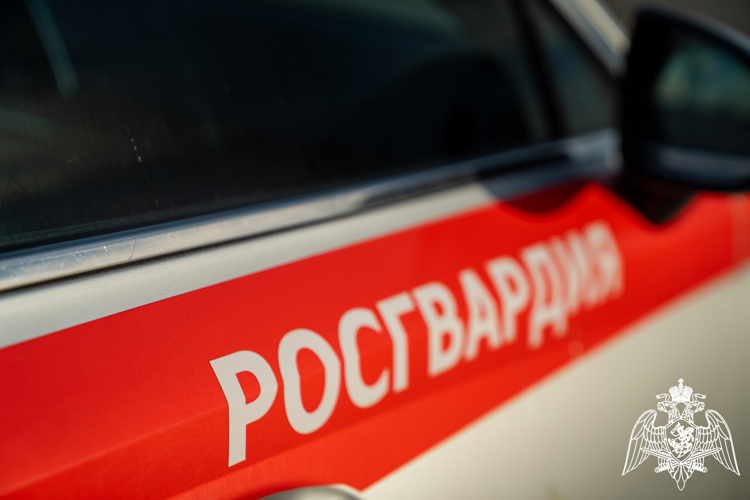 В Краснодаре росгвардейцы задержали жителя Адыгеи с 110 капсулами «Лирики»