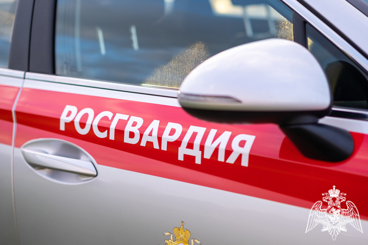 В Лабинске сотрудники Росгвардии задержали находящегося в розыске мужчину 