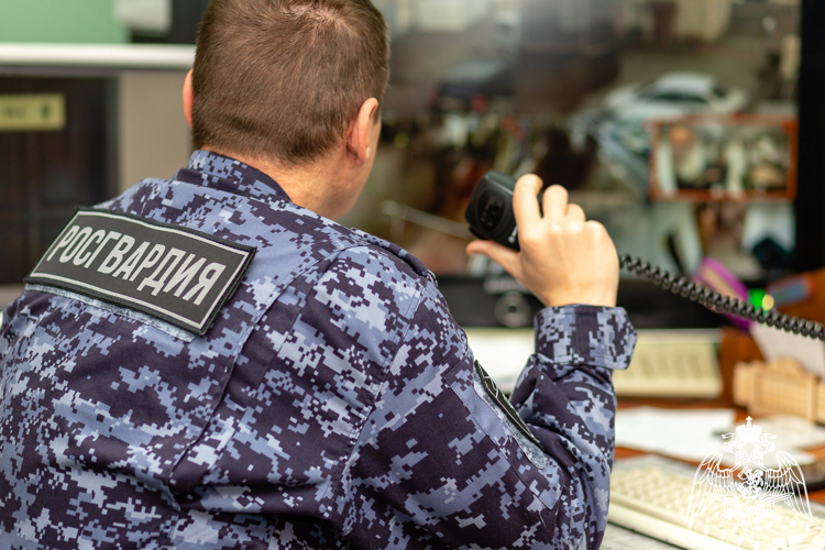 В Краснодаре росгвардейцы задержали мужчину, разбившего лобовое стекло автомобиля