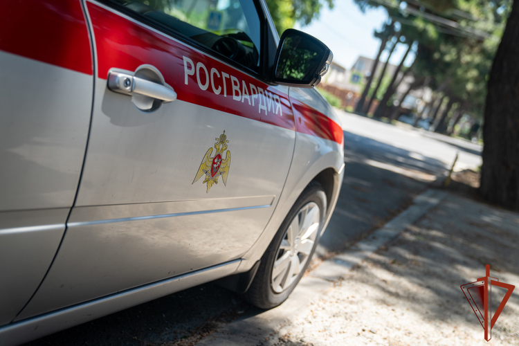 НА КУБАНИ РОСГВАРДЕЙЦЫ ПРЕСЕКЛИ НАРУШЕНИЯ ОБЩЕСТВЕННОГО ПОРЯДКА В МЕСТАХ РАЗМЕЩЕНИЯ ОТДЫХАЮЩИХ
